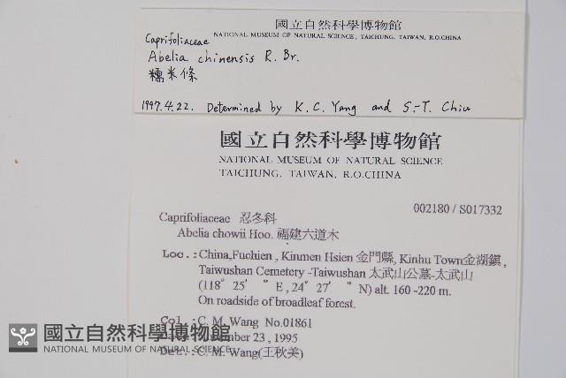 臺灣糯米條藏品圖，第2張