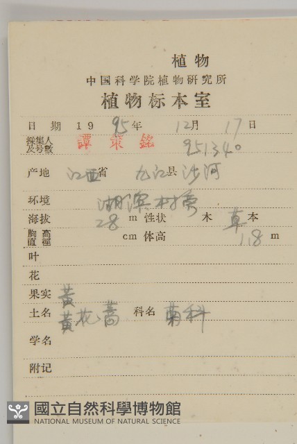 黃花蒿藏品圖，第2張