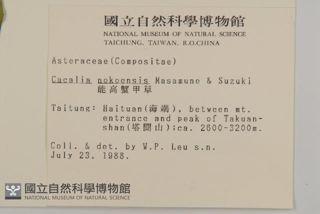 能高蟹甲草藏品圖，第2張