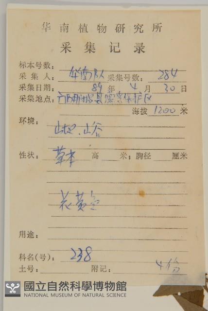 天名精藏品圖，第2張