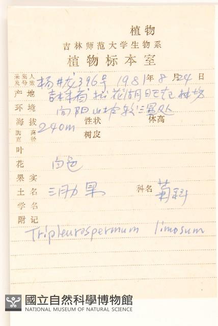 三肋果藏品圖，第2張