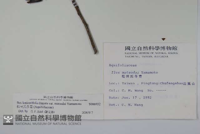 松田氏冬青藏品圖，第2張