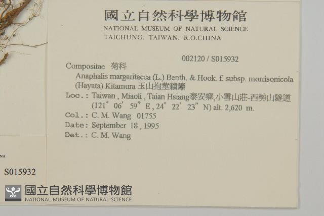 玉山抱莖籟簫藏品圖，第2張