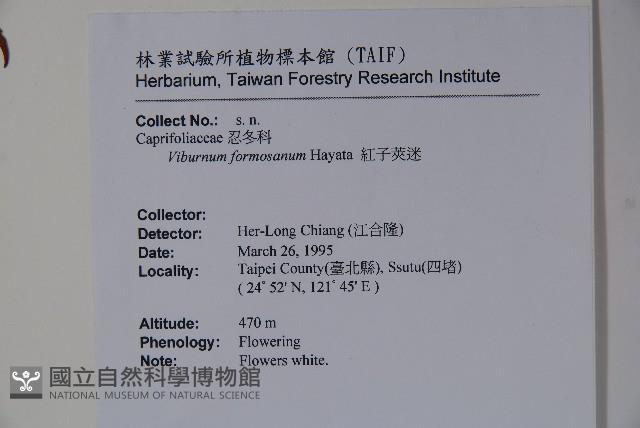 紅子莢迷藏品圖，第2張