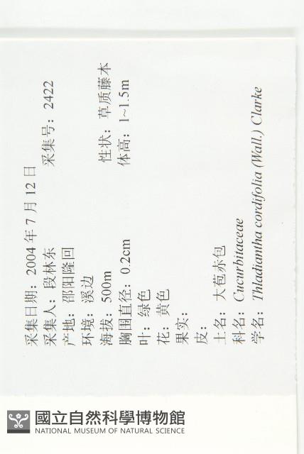 大苞赤瓟藏品圖，第2張