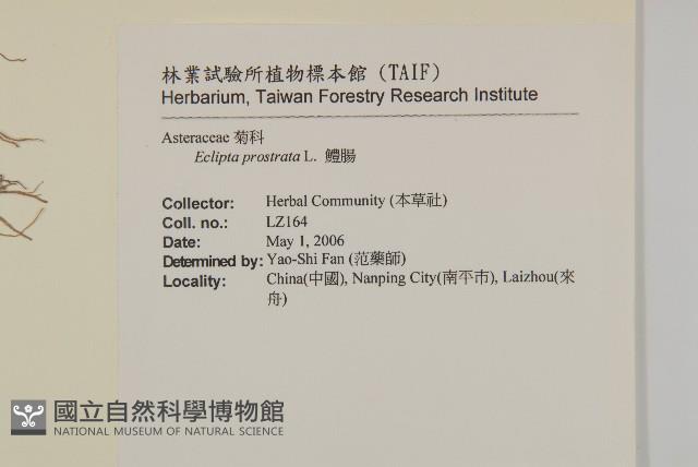 鱧腸藏品圖，第2張