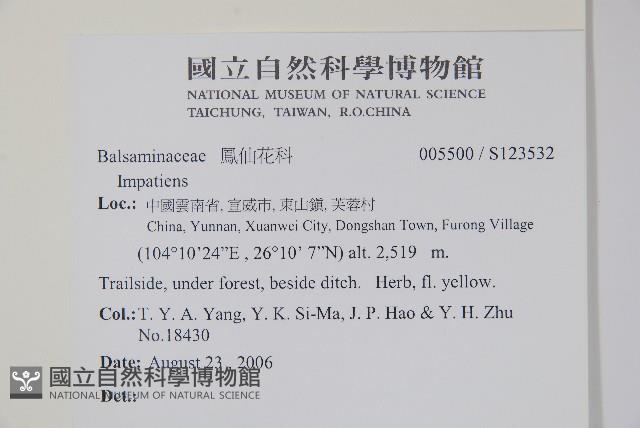 登錄號:S123532藏品圖，第2張