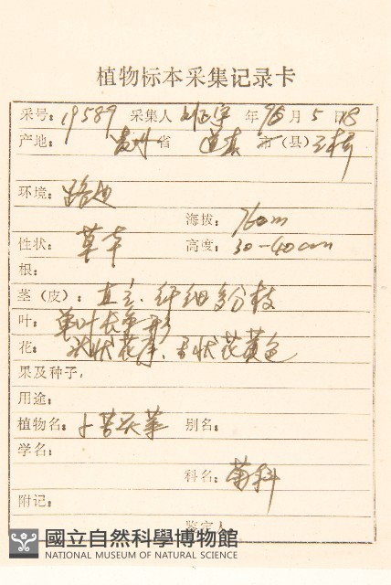 細葉剪刀股藏品圖，第2張