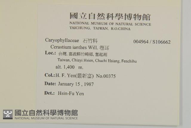 卷耳藏品圖，第2張