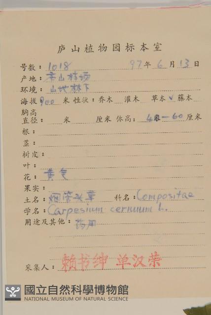 杓兒菜藏品圖，第2張