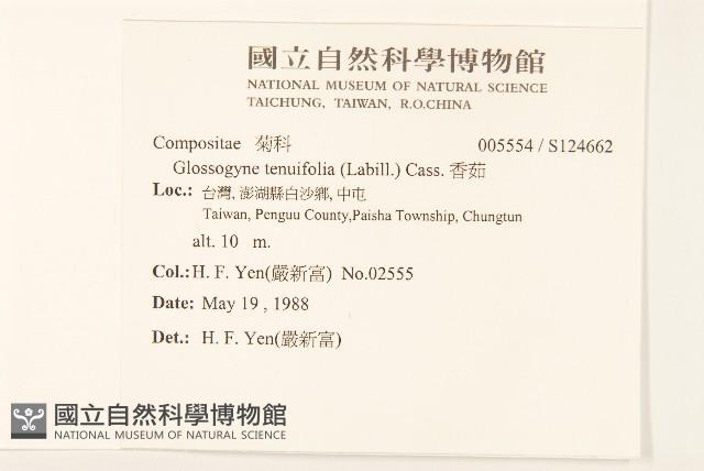 香茹藏品圖，第2張