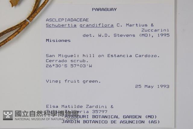 登錄號:S054662藏品圖，第2張