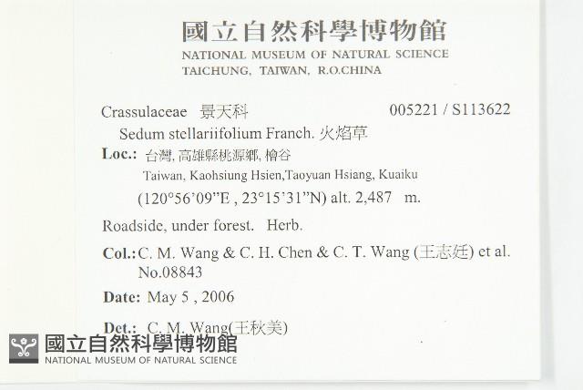 花蓼藏品圖，第2張