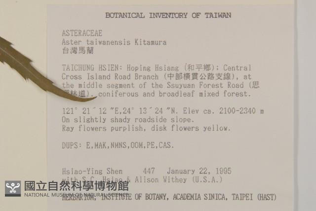 臺灣馬蘭藏品圖，第2張