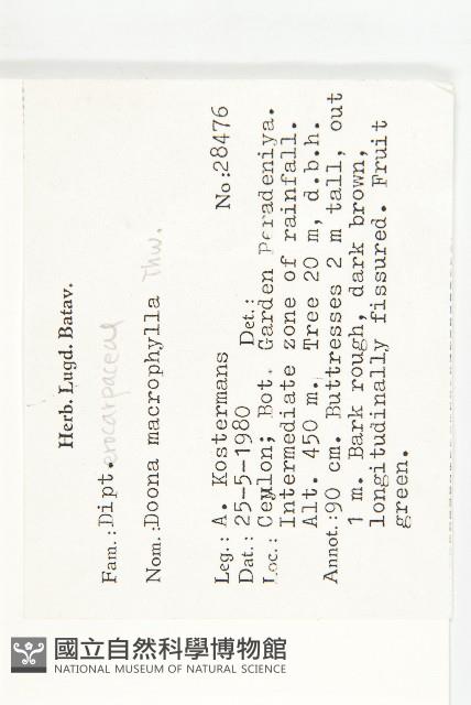 登錄號:S047062藏品圖，第2張