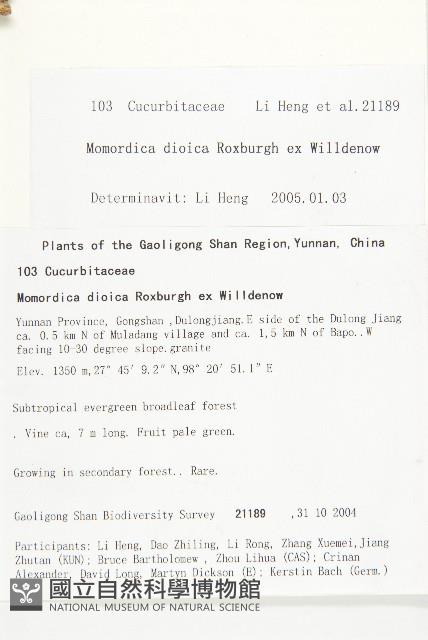 雲南木鱉藏品圖，第2張