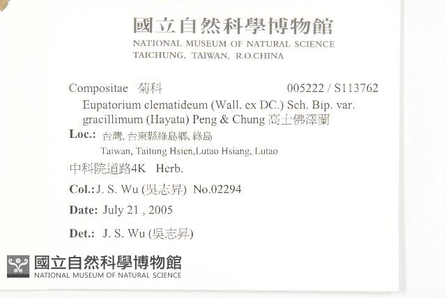 高士佛澤蘭藏品圖，第2張