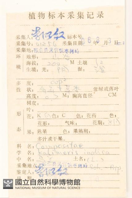 雞兒腸藏品圖，第2張