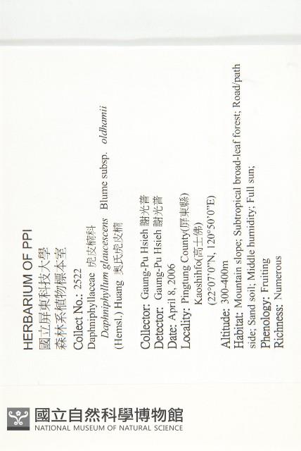 耿氏虎皮楠藏品圖，第2張