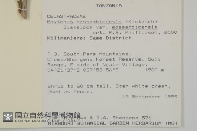 登錄號:S096462藏品圖，第2張