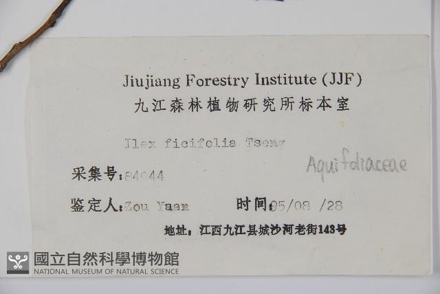 登錄號:S024462藏品圖，第2張