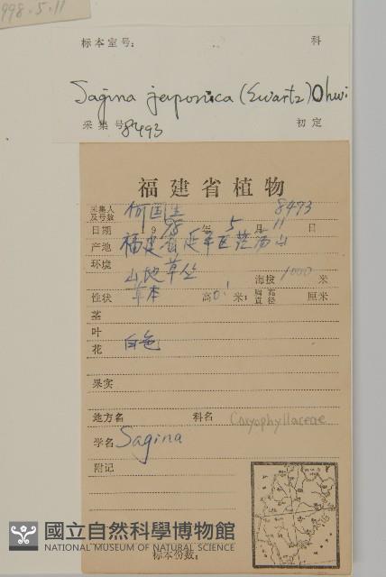 瓜槌草、漆姑草藏品圖，第2張