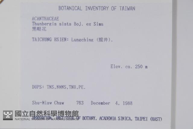 黑眼花藏品圖，第2張