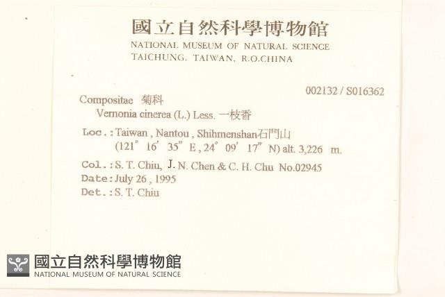 一枝香藏品圖，第2張