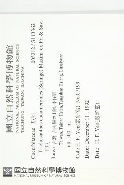 王瓜藏品圖，第2張