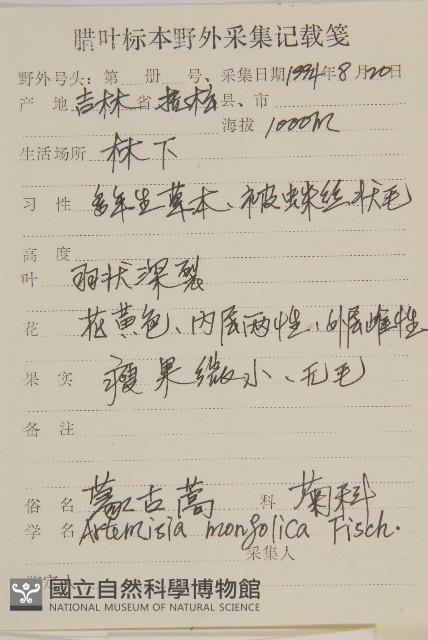 蒙古蒿藏品圖，第2張