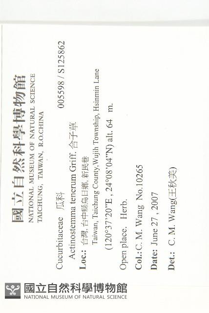 合子草藏品圖，第2張