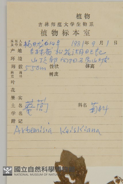 庵蒿藏品圖，第2張