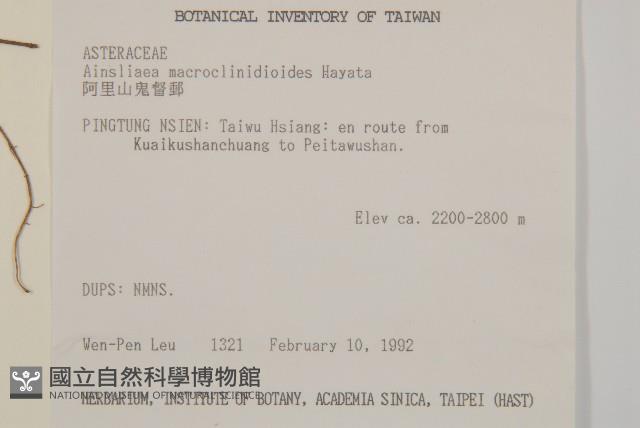 阿里山鬼督郵藏品圖，第2張