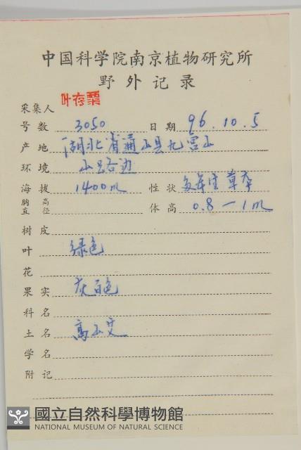 魁蒿藏品圖，第2張