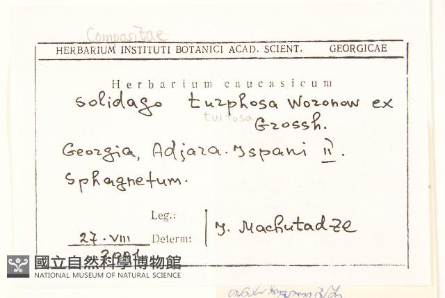 登錄號:S097562藏品圖，第2張