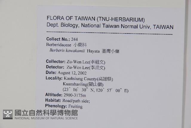 臺灣小蘗藏品圖，第2張