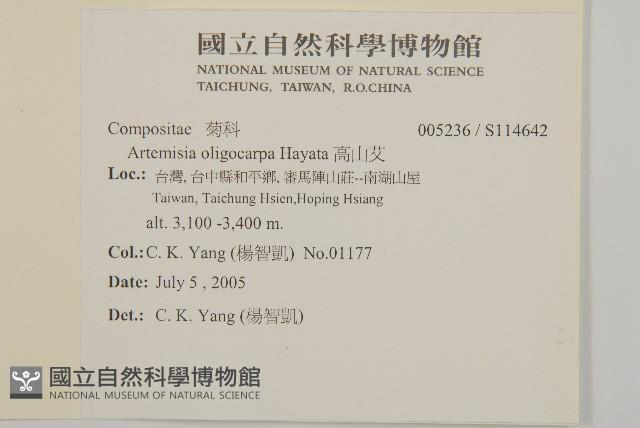 高山艾藏品圖，第2張