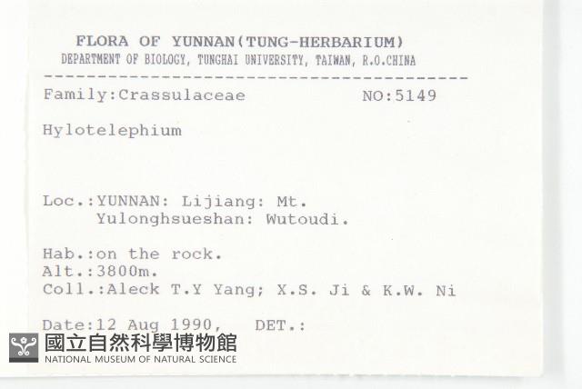 小葉樹杞藏品圖，第2張