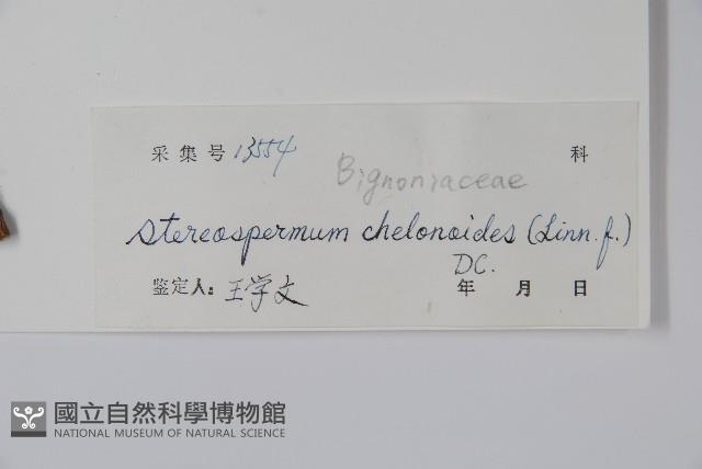 登錄號:S045042藏品圖，第2張