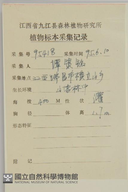 扶芳藤藏品圖，第2張