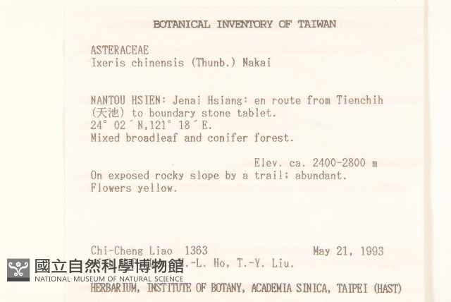 兔仔菜藏品圖，第2張