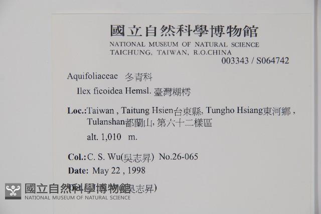 臺灣糊樗藏品圖，第2張