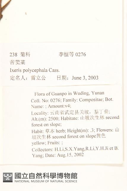 多頭苦菜、野剪刀股藏品圖，第2張