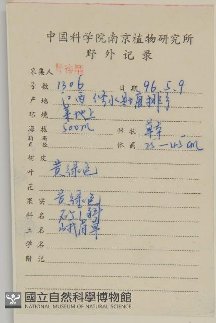 牛繁縷藏品圖，第2張