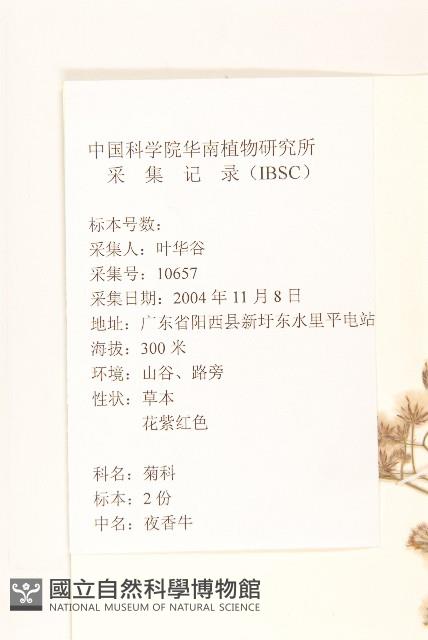 一枝香藏品圖，第2張