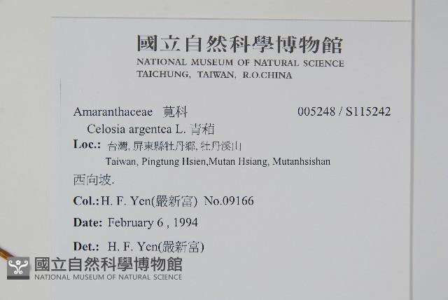 青葙藏品圖，第2張