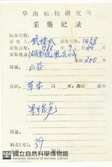 葶藶藏品圖，第2張