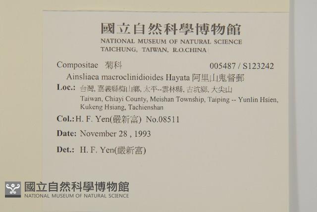 阿里山鬼督郵藏品圖，第2張