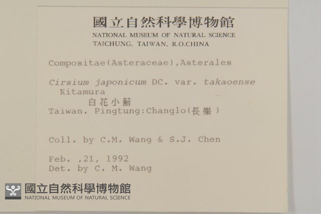 雞觴刺、島薊藏品圖，第2張