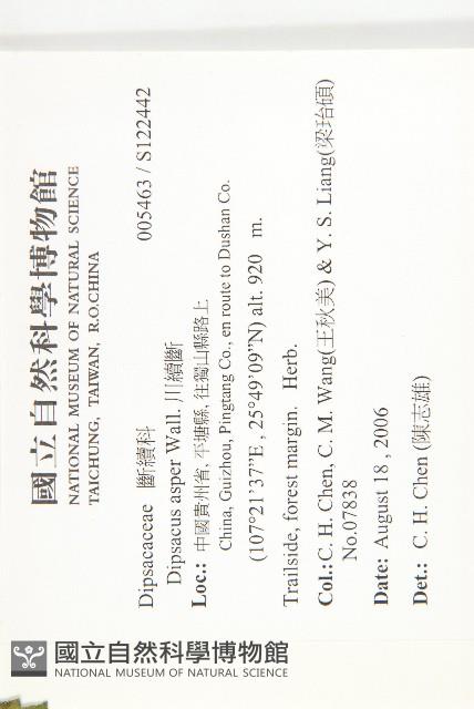 川續斷藏品圖，第2張